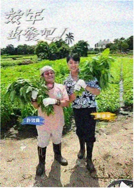 元阳梯田机位周边山路与观景步道示意